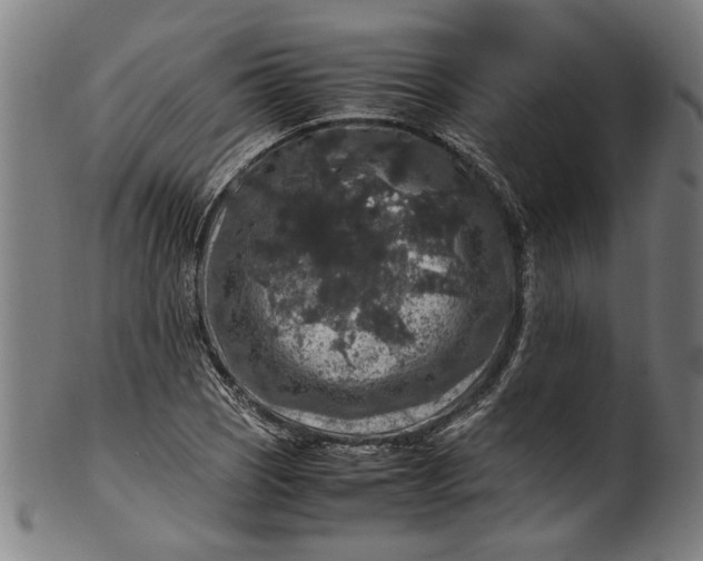 X0000100881121200807111335