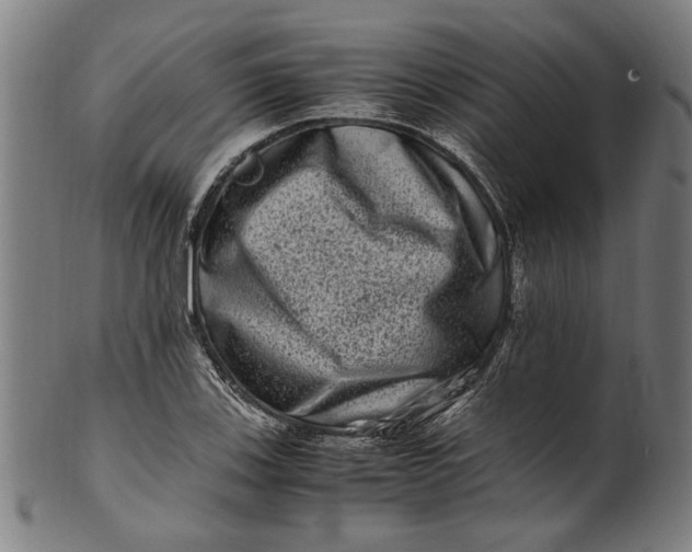 X0000100881123200807111335