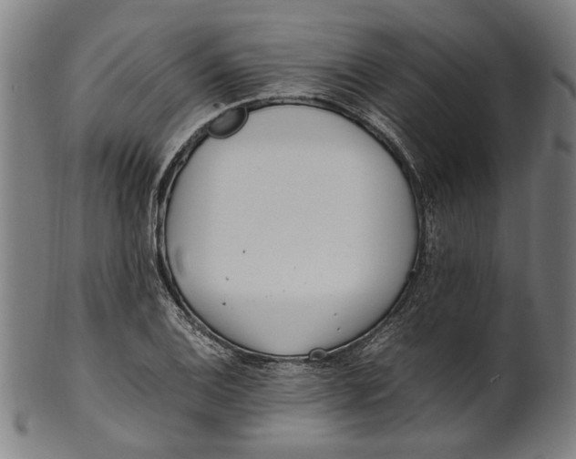 X0000100881124200807111335