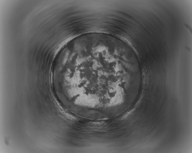 X0000100881125200807111335