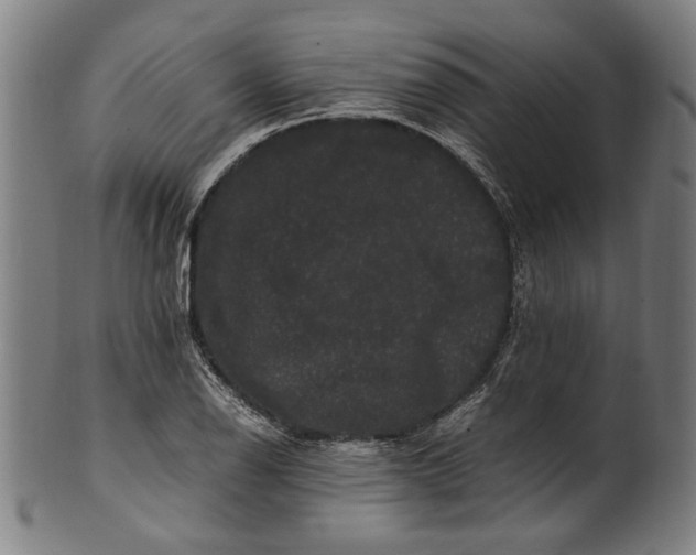 X0000100881126200807111335