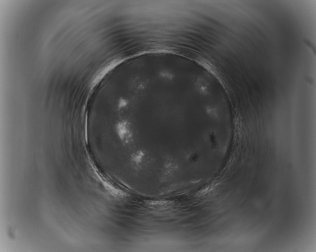 X0000100881127200807111335