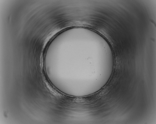 X0000100881128200807111335