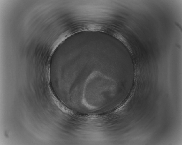 X0000100881130200807111335