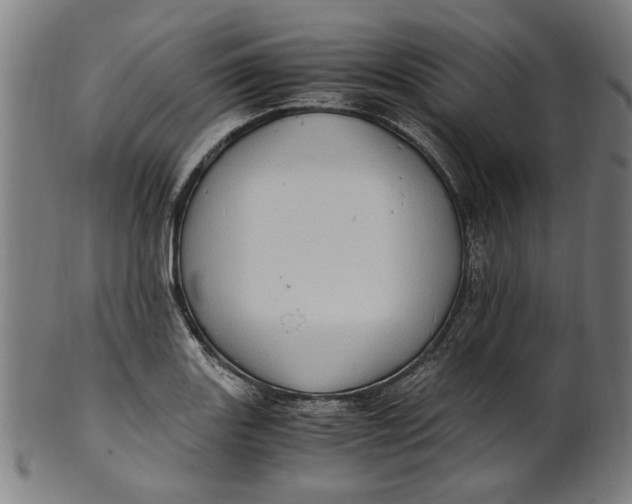 X0000100881131200807111335