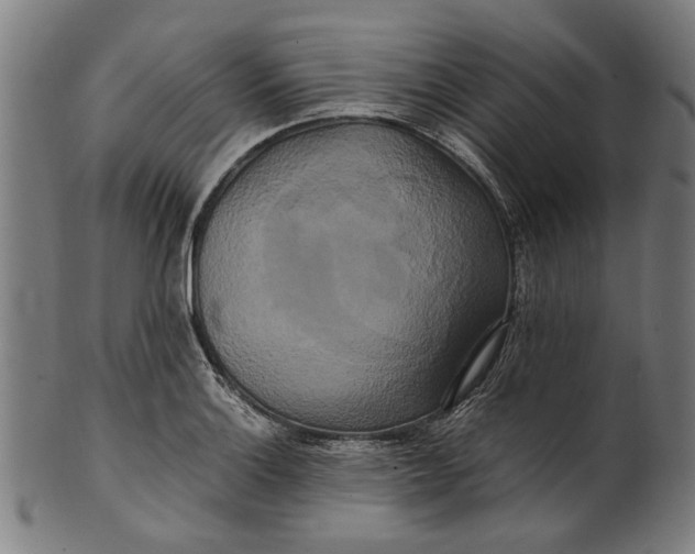 X0000100881132200807111335