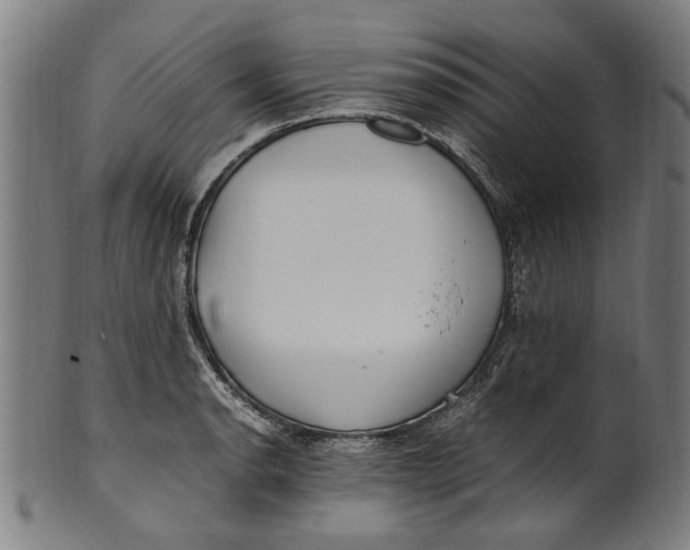 X0000100881134200807111335