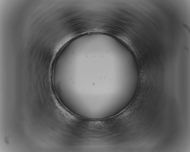 X0000100881135200807111335