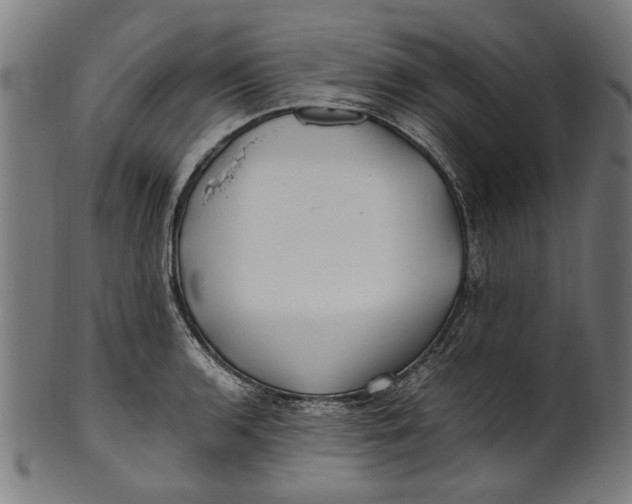 X0000100881136200807111335