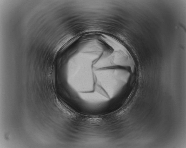 X0000100881137200807111335