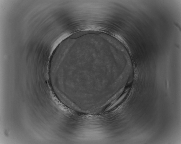 X0000100881138200807111335