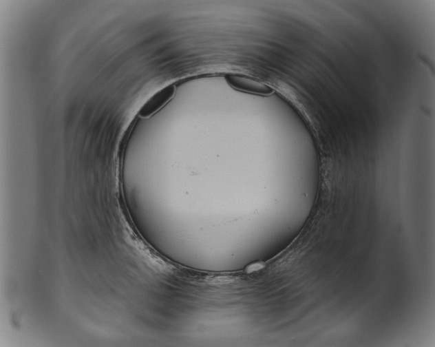 X0000100881140200807111335