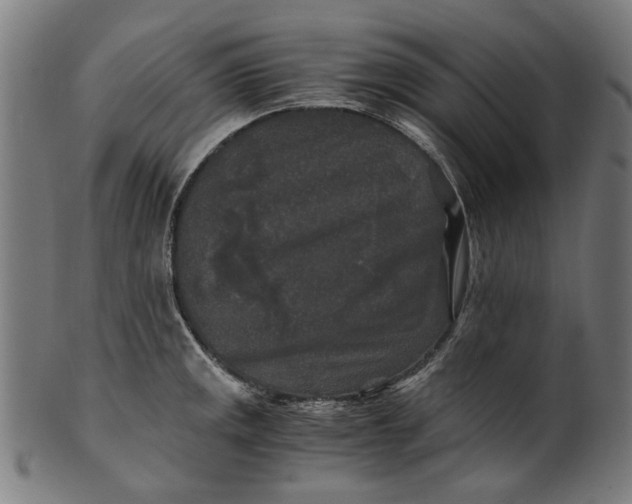 X0000100881141200807111335