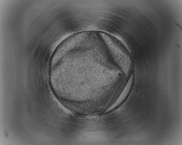 X0000100881142200807111335