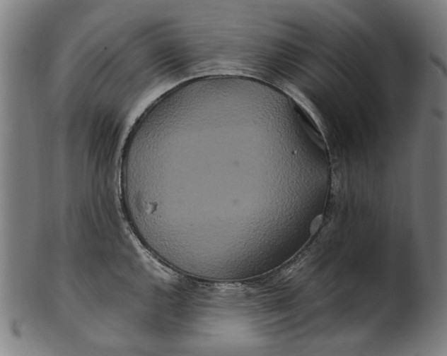 X0000100881144200807111336