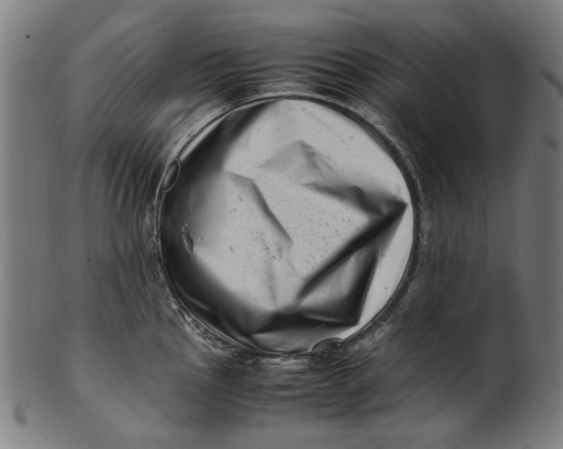 X0000100881145200807111336