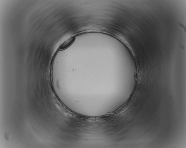 X0000100881146200807111336