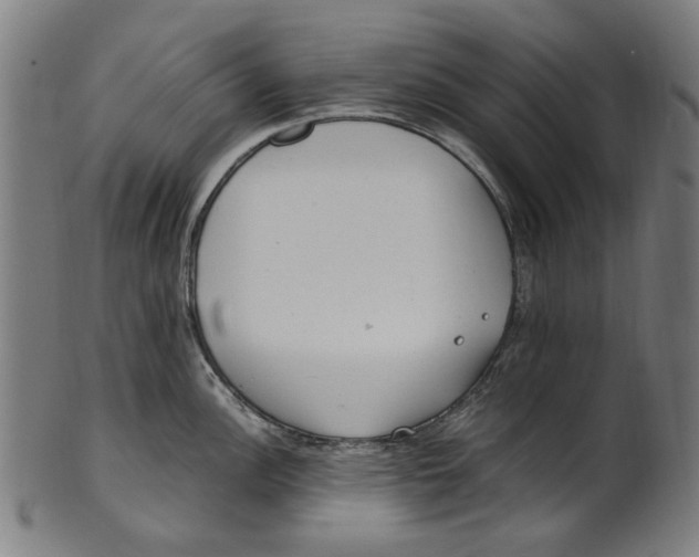 X0000100881148200807111336