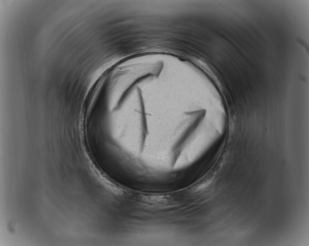 X0000100881149200807111336