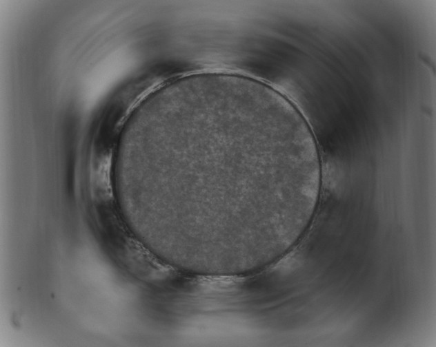 X0000100881150200807111336