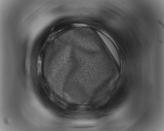 X0000100881151200807111336