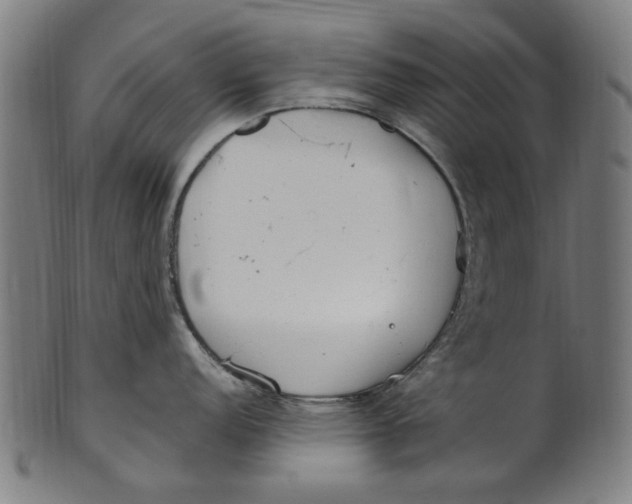 X0000100881152200807111336