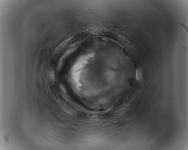 X0000100881155200807111335