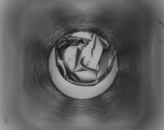 X0000100881156200807111335