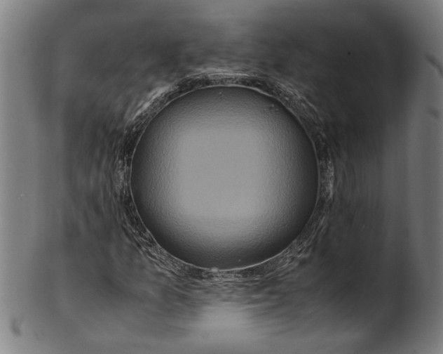 X0000100881157200807111335