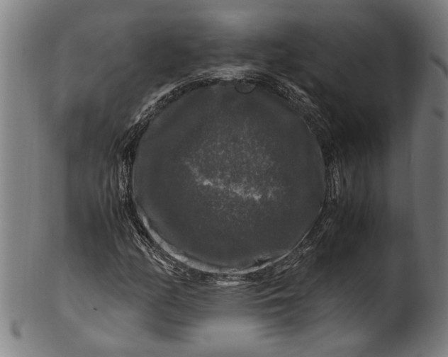 X0000100881158200807111335