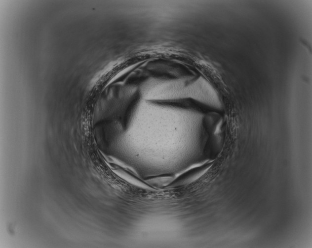 X0000100881159200807111335