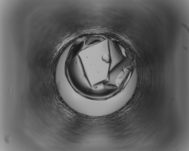 X0000100881160200807111335