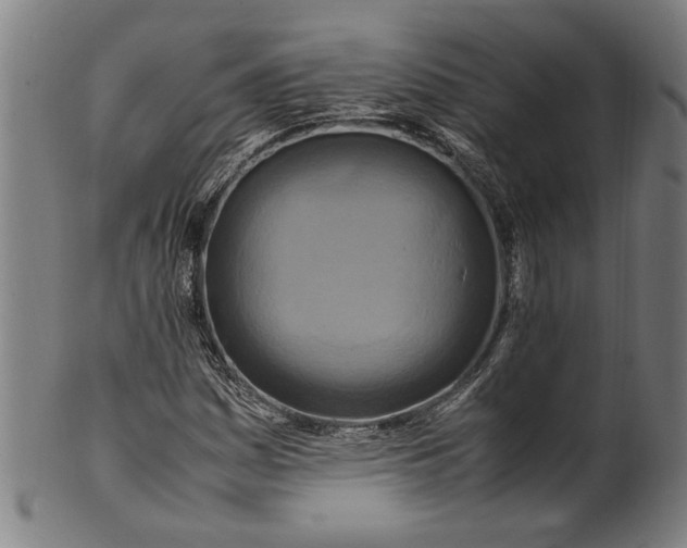 X0000100881161200807111335