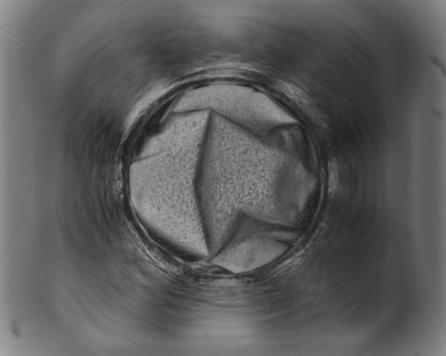 X0000100881164200807111335