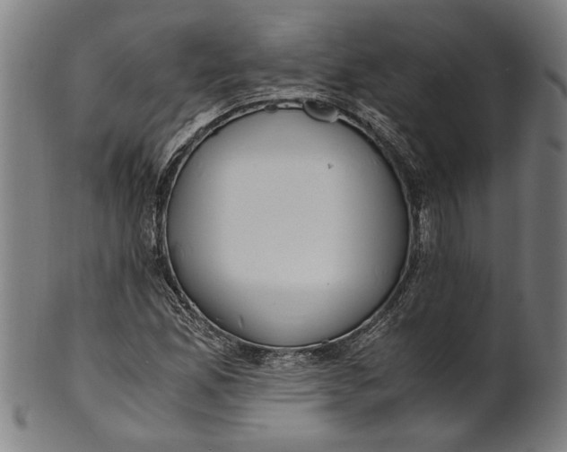 X0000100881165200807111335