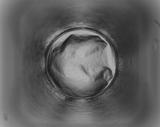 X0000100881167200807111335