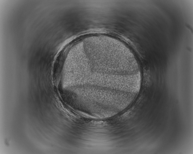 X0000100881168200807111335