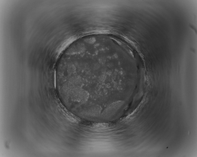 X0000100881171200807111335