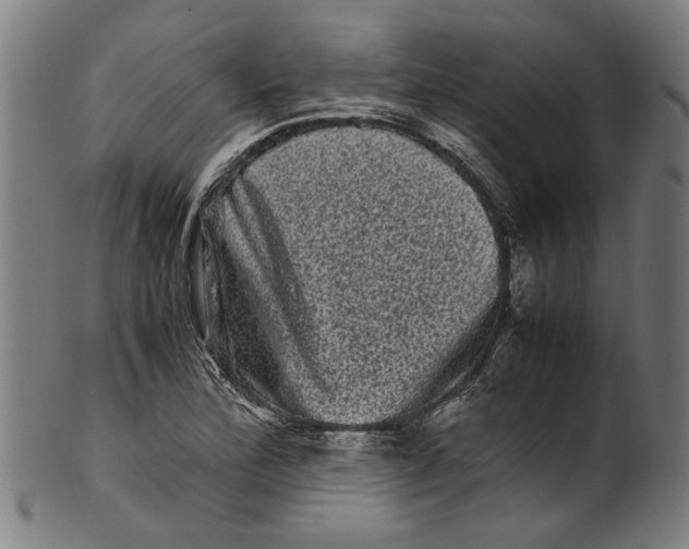 X0000100881172200807111335