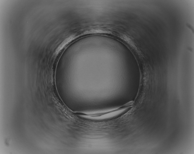 X0000100881173200807111334