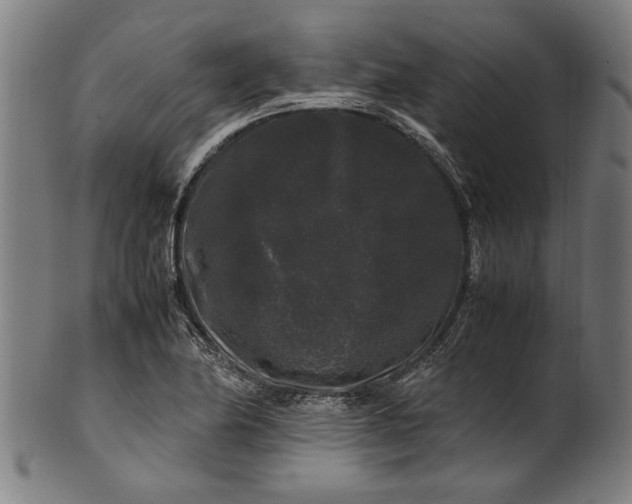 X0000100881174200807111334