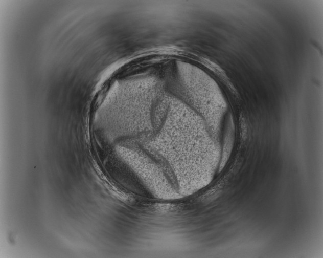 X0000100881176200807111334