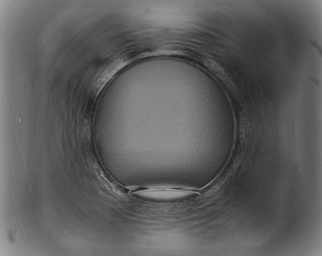 X0000100881177200807111334