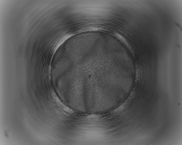 X0000100881178200807111334