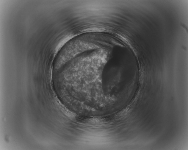 X0000100881179200807111334