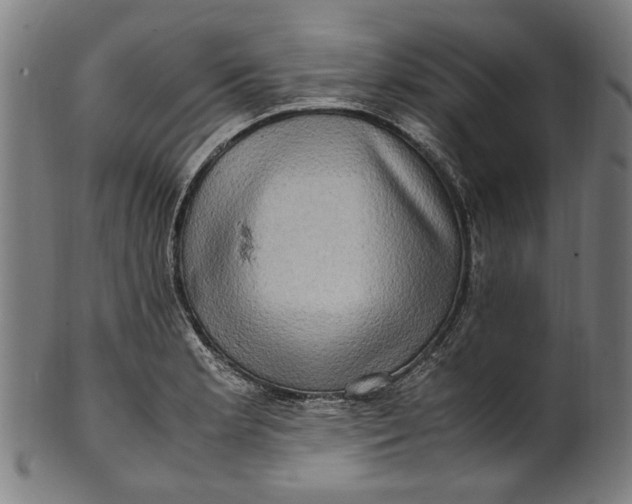 X0000100881181200807111334