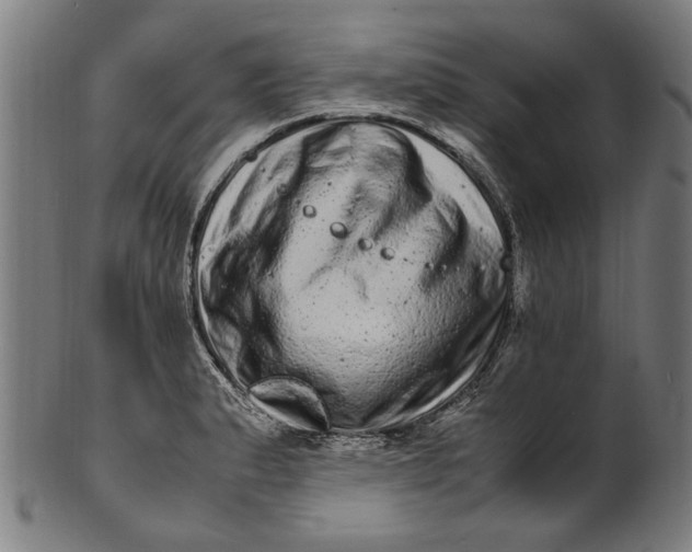 X0000100881183200807111334