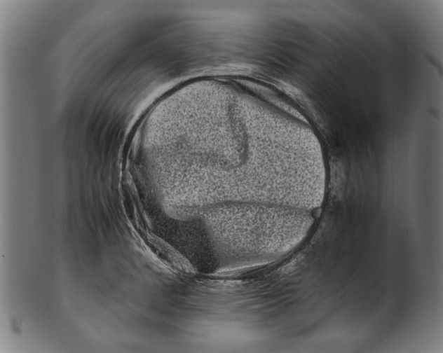 X0000100881184200807111334