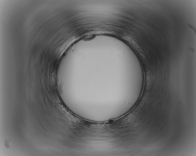 X0000100881185200807111334