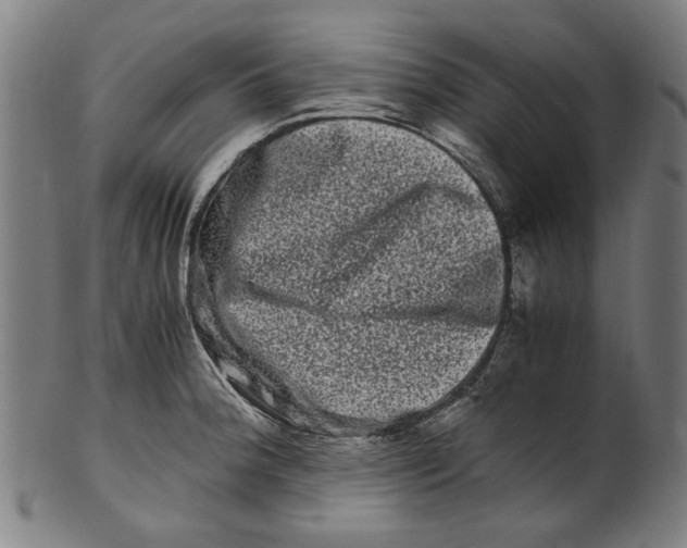 X0000100881188200807111334